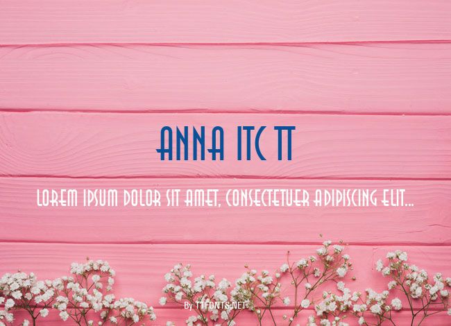 Anna ITC TT example