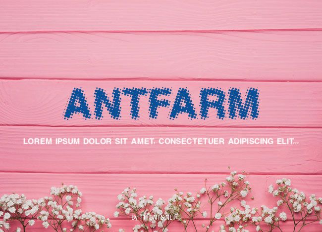 AntFarm example