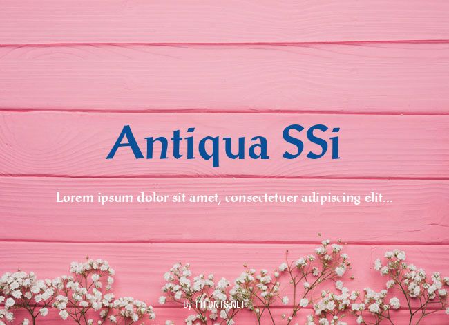 Antiqua SSi example