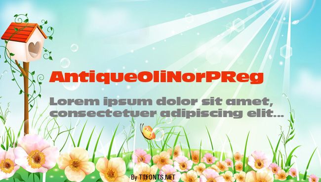AntiqueOliNorPReg example