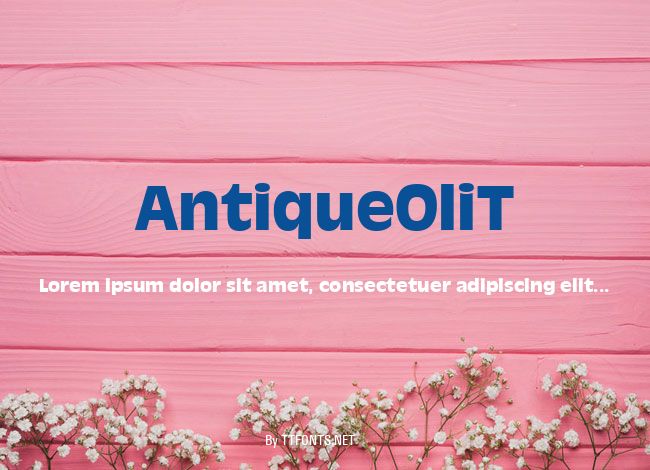 AntiqueOliT example
