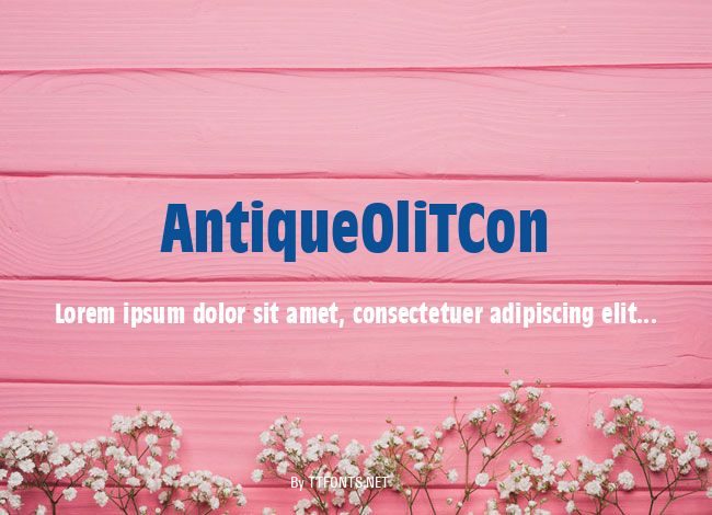 AntiqueOliTCon example