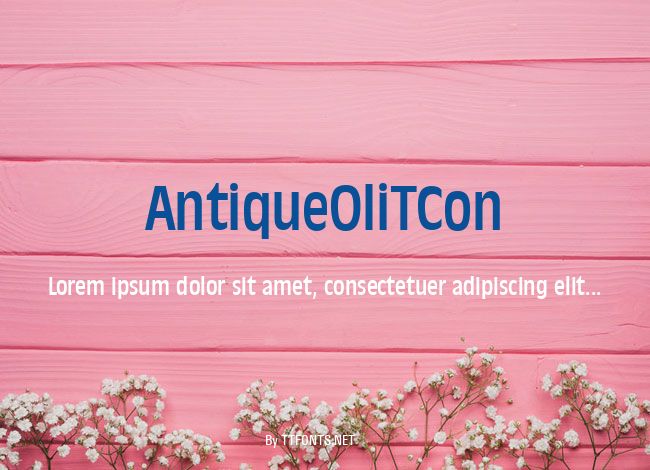 AntiqueOliTCon example