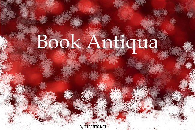 Book Antiqua example