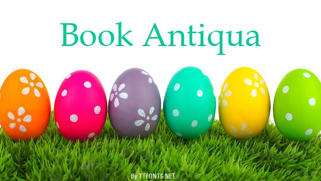 Book Antiqua example