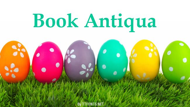Book Antiqua example
