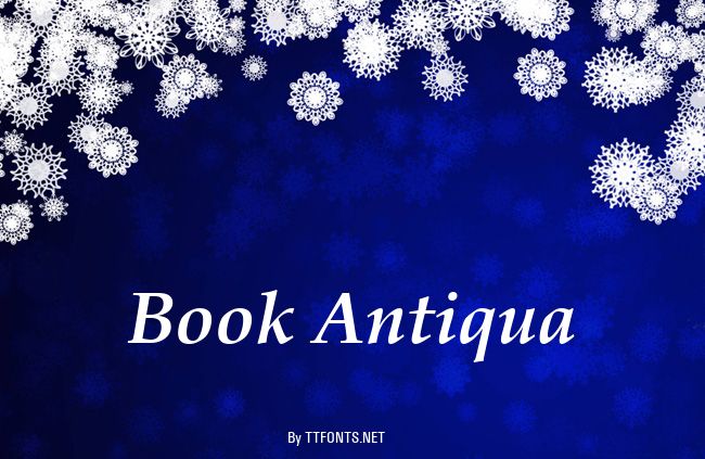 Book Antiqua example