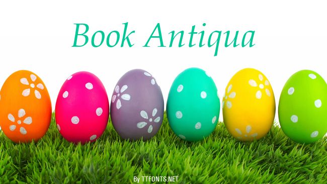 Book Antiqua example