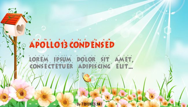 Apollo13Condensed example