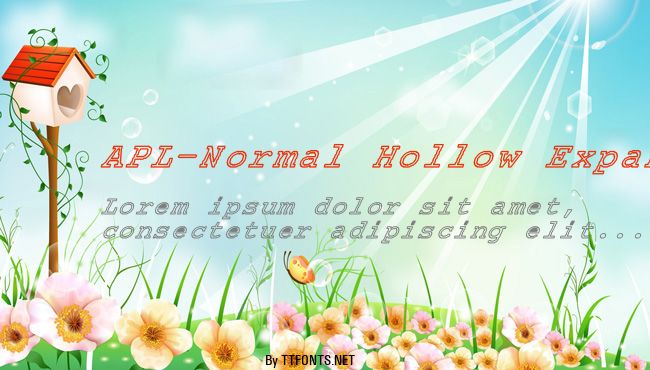 APL-Normal Hollow Expanded example