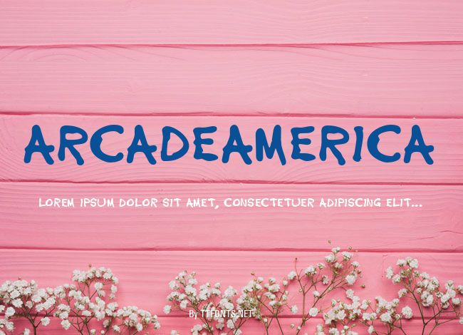 ArcadeAmerica example