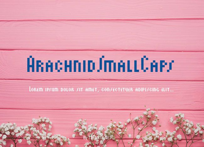 ArachnidSmallCaps example