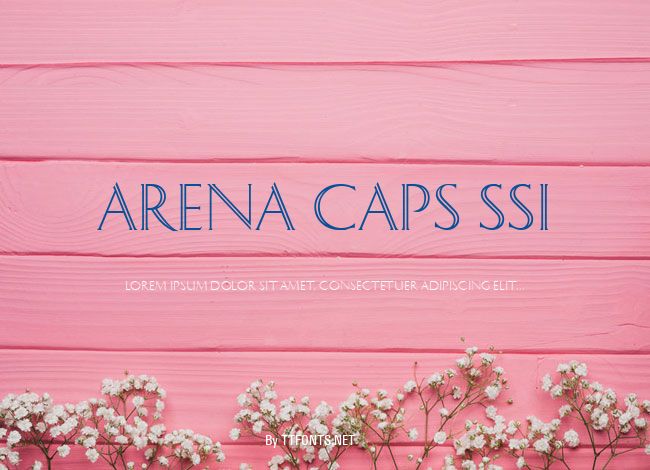 Arena Caps SSi example