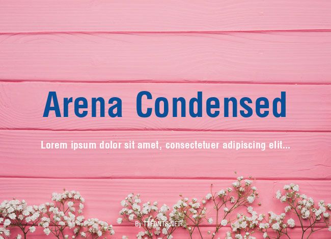 Arena Condensed example
