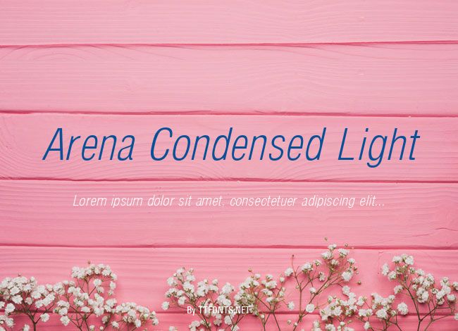 Arena Condensed Light example