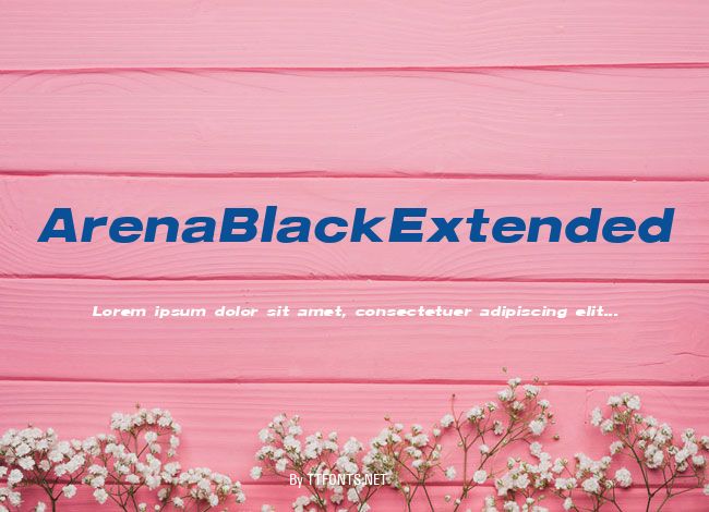 ArenaBlackExtended example