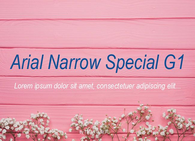 Arial Narrow Special G1 example