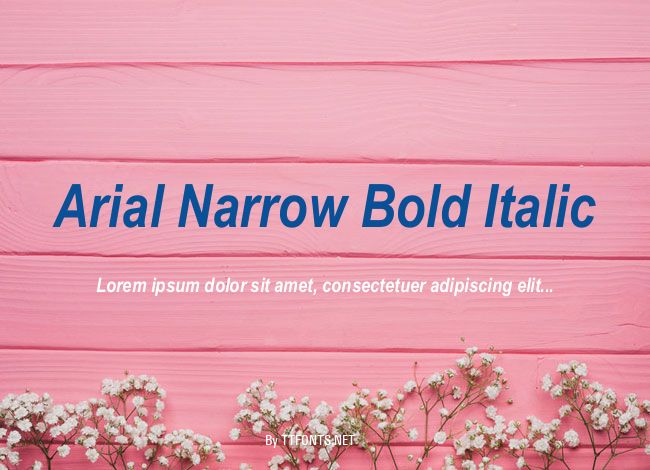 Arial Narrow Bold Italic example