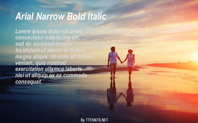 Arial Narrow Bold Italic example