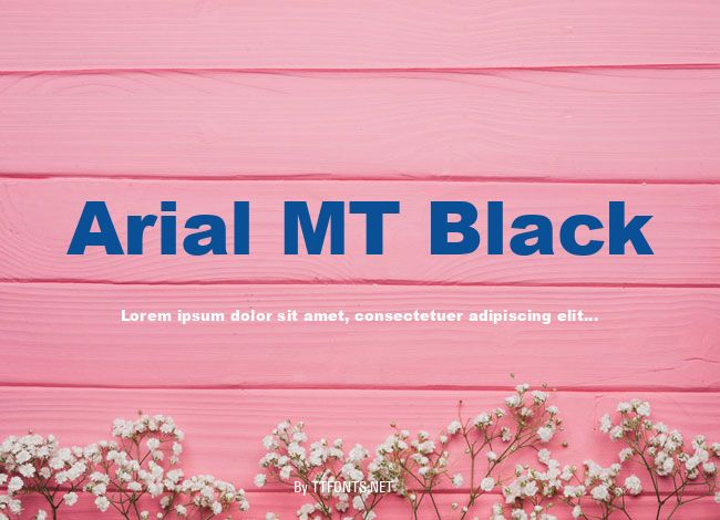 Arial MT Black example