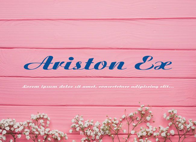 Ariston Ex example