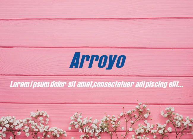 Arroyo example