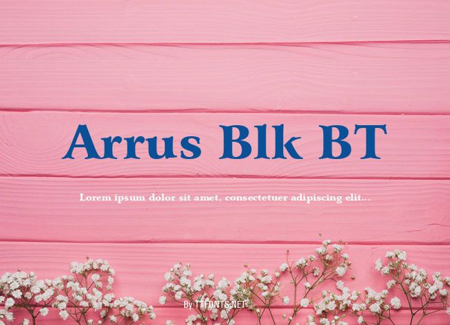 Arrus Blk BT example