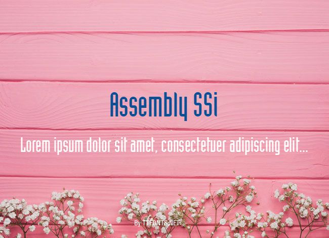 Assembly SSi example