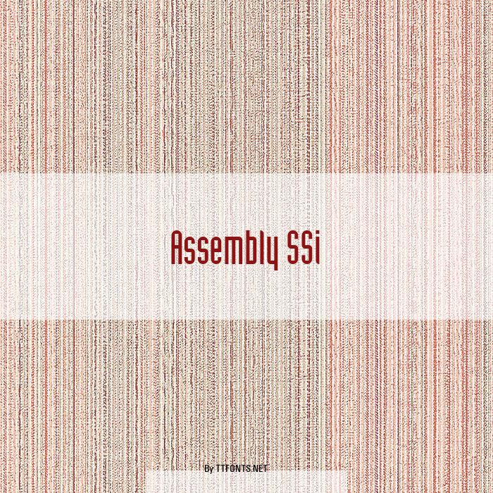 Assembly SSi example