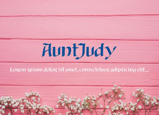 AuntJudy example