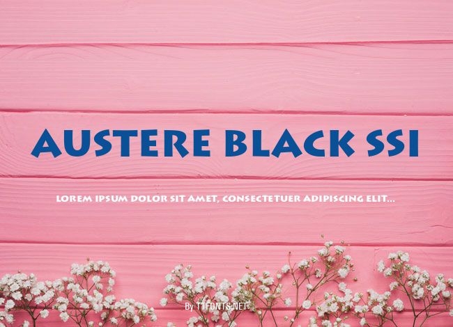 Austere Black SSi example