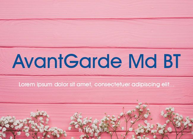 AvantGarde Md BT example