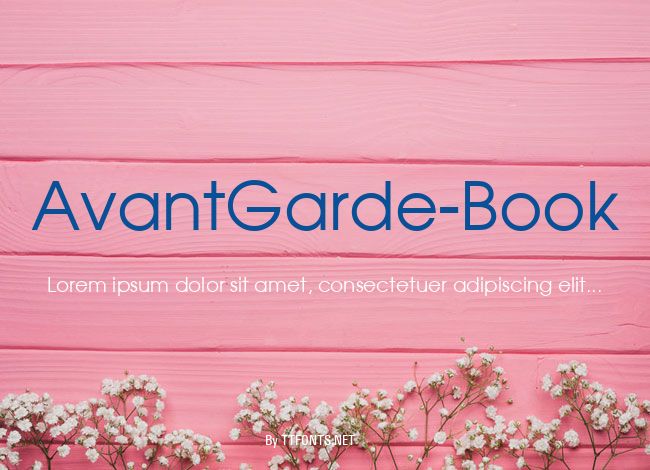 AvantGarde-Book example