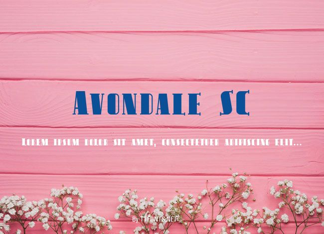 Avondale SC example