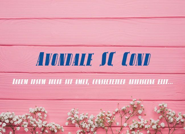 Avondale SC Cond example