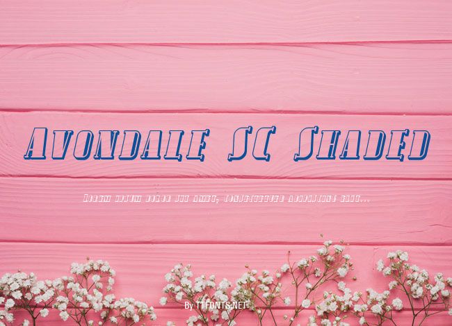Avondale SC Shaded example