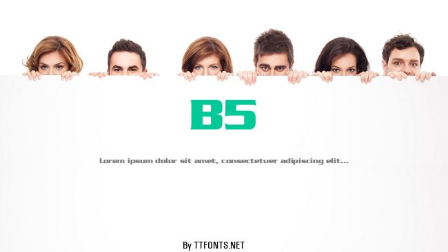B5 example