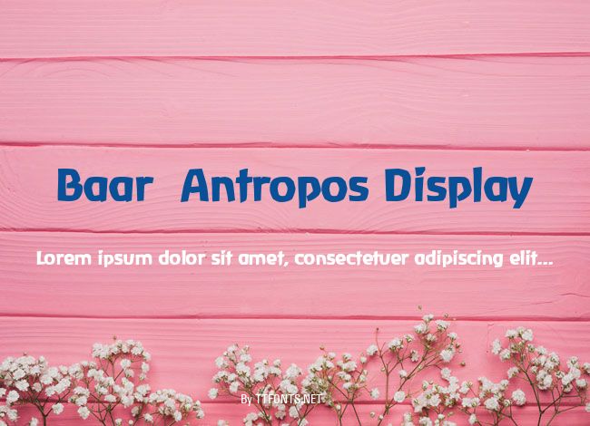 Baar  Antropos Display example