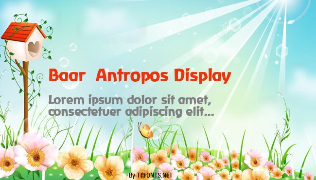 Baar  Antropos Display example