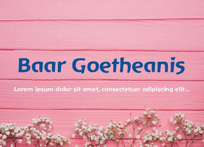 Baar Goetheanis example