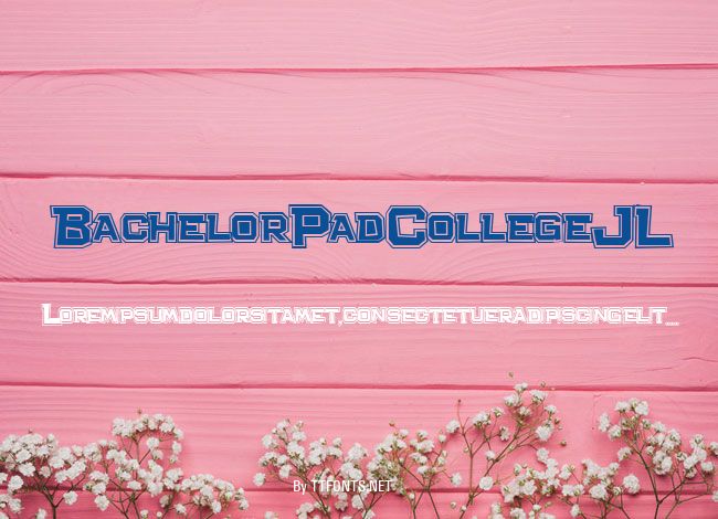 Bachelor Pad College JL example