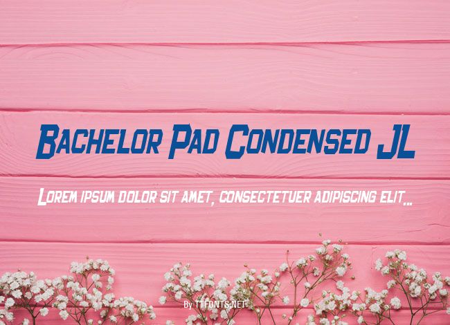 Bachelor Pad Condensed JL example