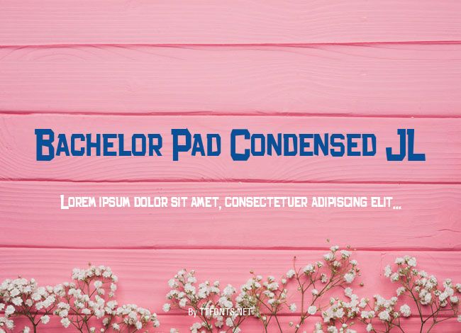 Bachelor Pad Condensed JL example