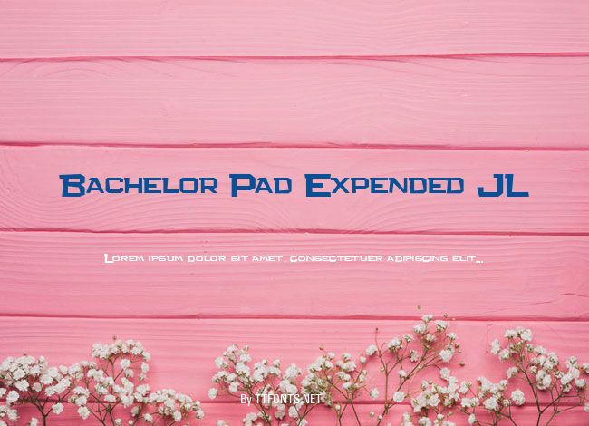 Bachelor Pad Expended JL example