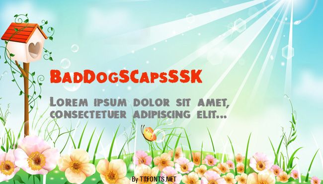 BadDogSCapsSSK example