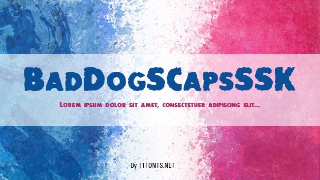 BadDogSCapsSSK example
