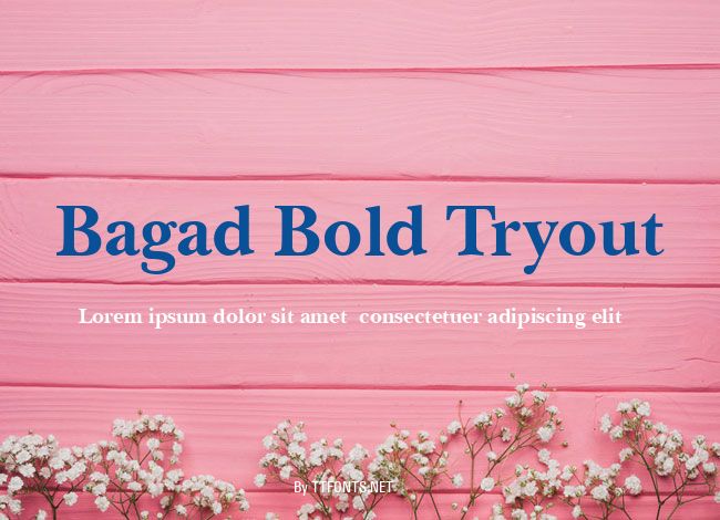 Bagad Bold Tryout example