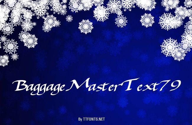 BaggageMasterText79 example