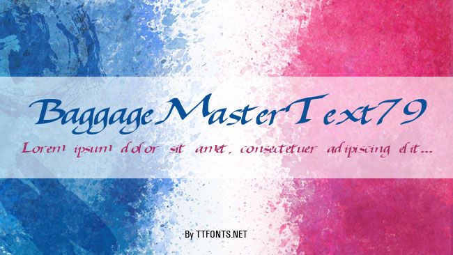 BaggageMasterText79 example