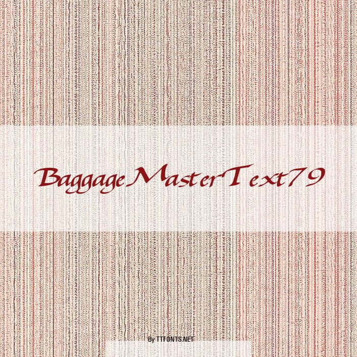 BaggageMasterText79 example